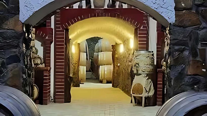 Wine tour in Samarkand (Baguizagan) English - Tasting wine, cognac, chacha, and local snacks