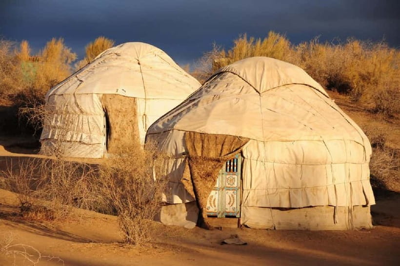Yurt Camp Tour with Night from Bukhara - Key points before you book